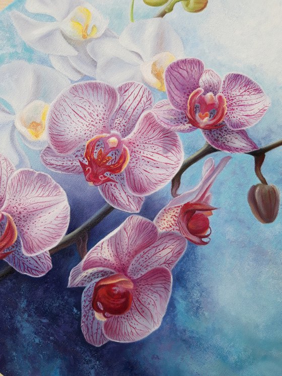 "Orchid charm", flowers painting