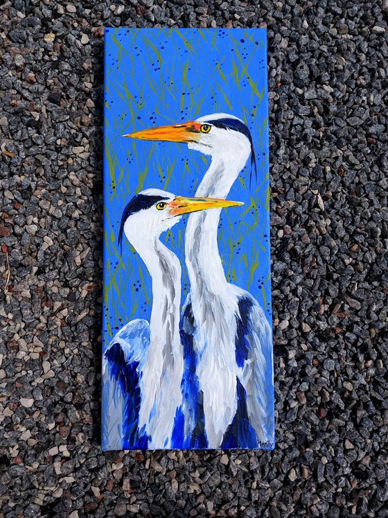 "Blue heron couple"