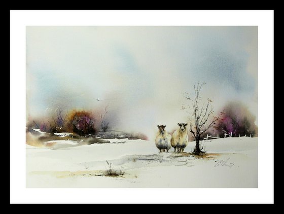 Two Sheep. Original Watercolour Painting.