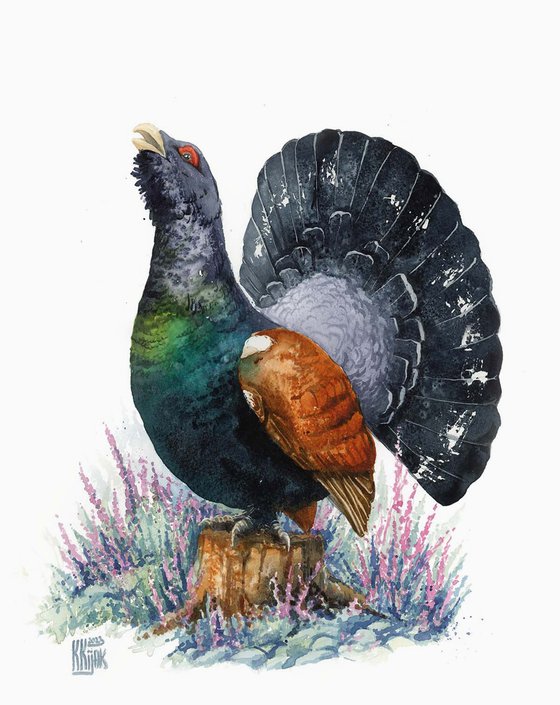 Western capercaillie