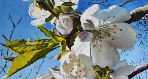 Artwork by Valeriia Radziievska