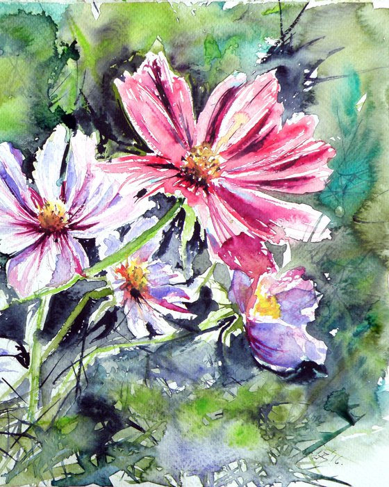 Windflowers