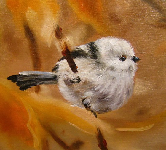 Fluffy Small White Bird