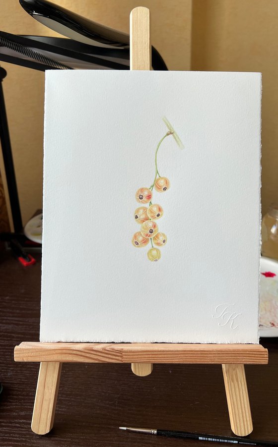 White currants