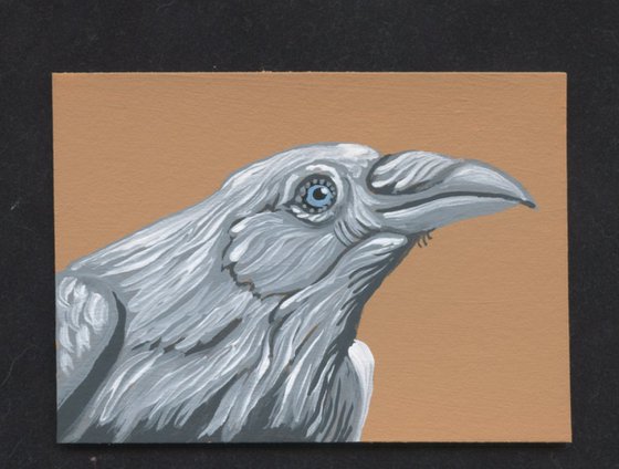 ACEO ATC Original Miniature Painting White Spirit Crow Raven Bird Wildlife Art-Carla Smale