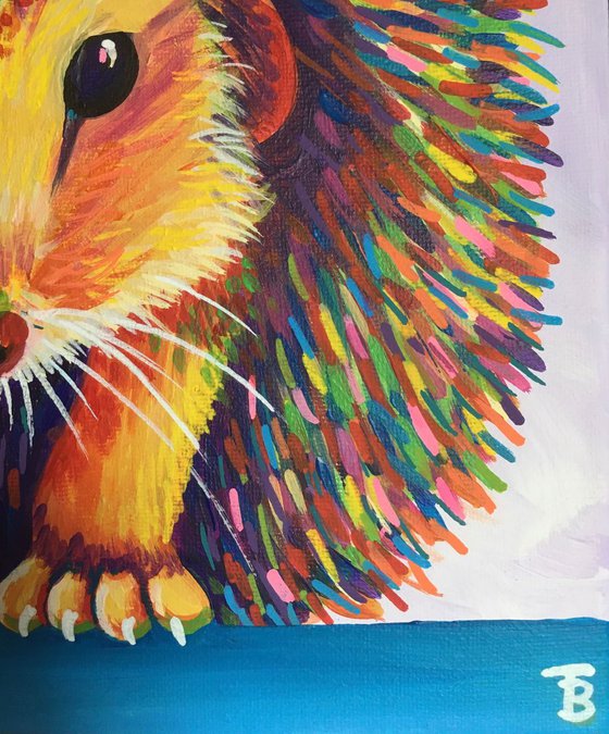 Rainbow Hedgehog