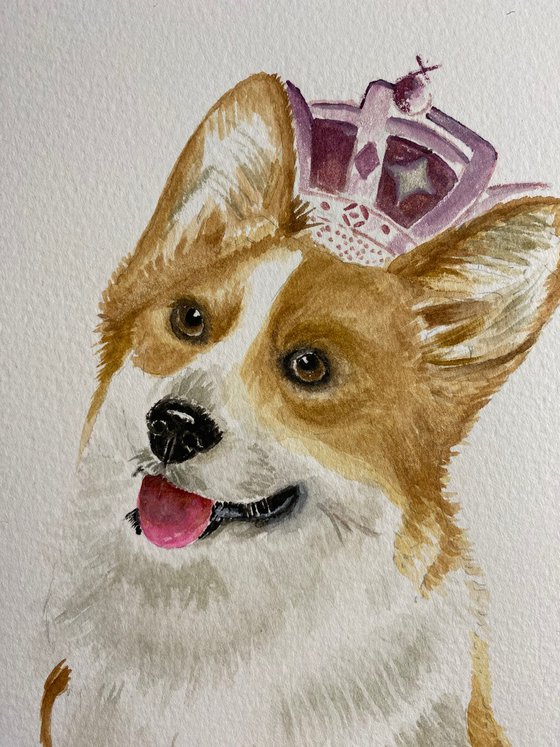 Queens corgi