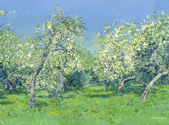 Apple trees in bloom. Kolomenskoye