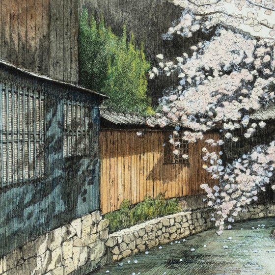 Cherry Blossoms at Shirakawa in Gion, Kyoto
