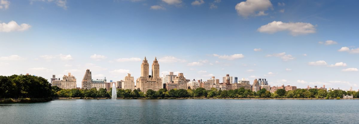 Central Park NYC (109x40cm) by Tom Hanslien