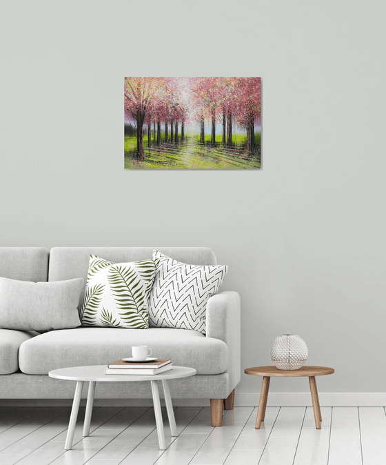 Light Through Spring Blossom Trees