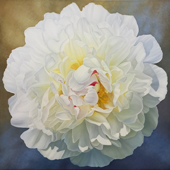 Peony extravaganza