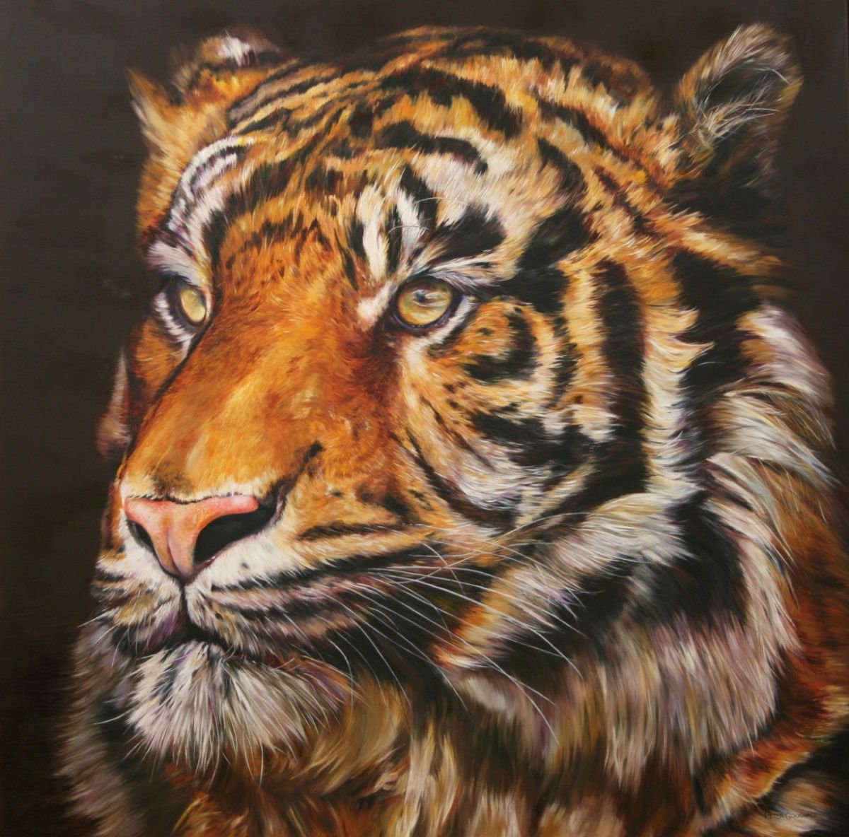 Photorealistic Animal Oil Painting By Peter Goodhall, 40 X 40", Bengal Prince, Original Artwork