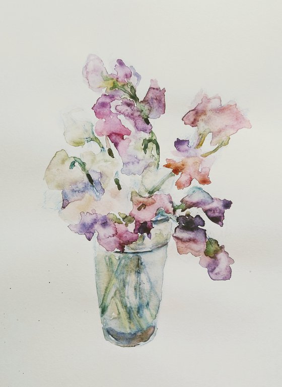 Sweet pea (Charming). Original watercolour painting. 2021