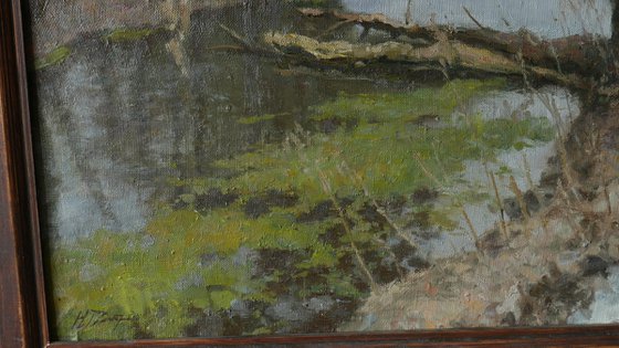The Old Willow