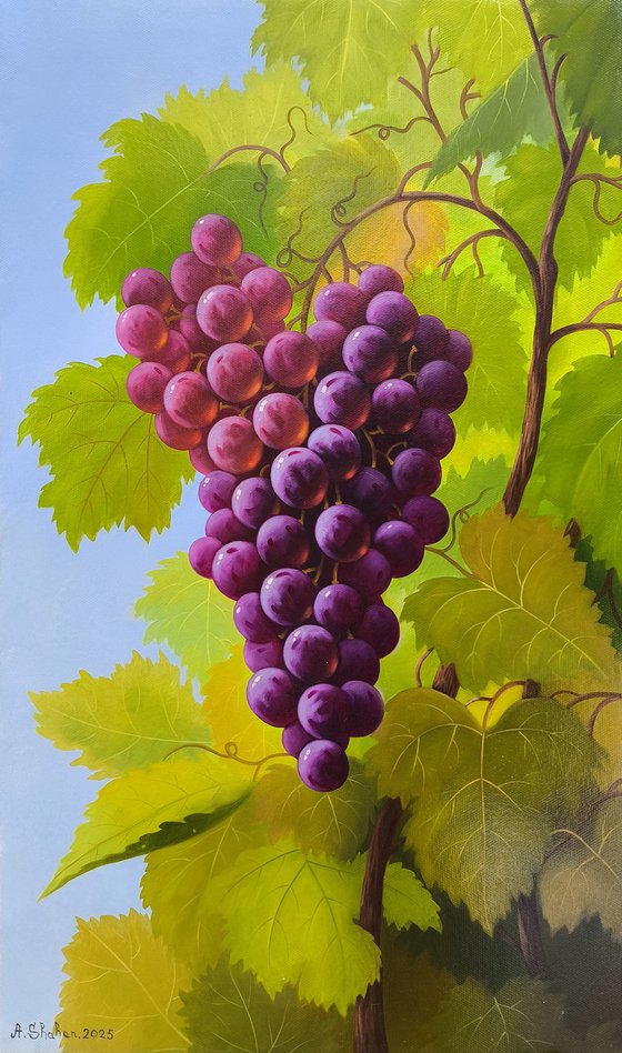 Sunlit Grapes
