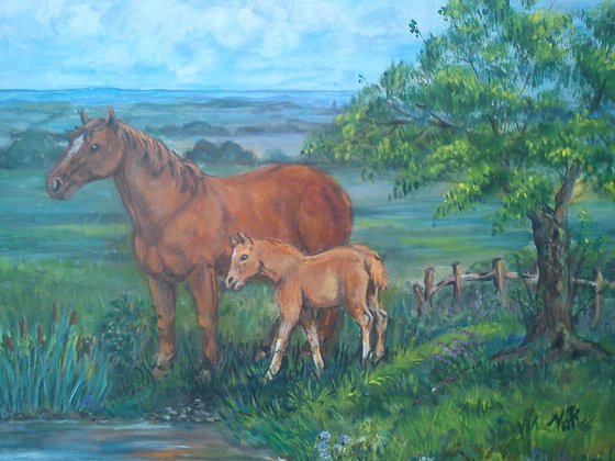 Mare and foal No.3