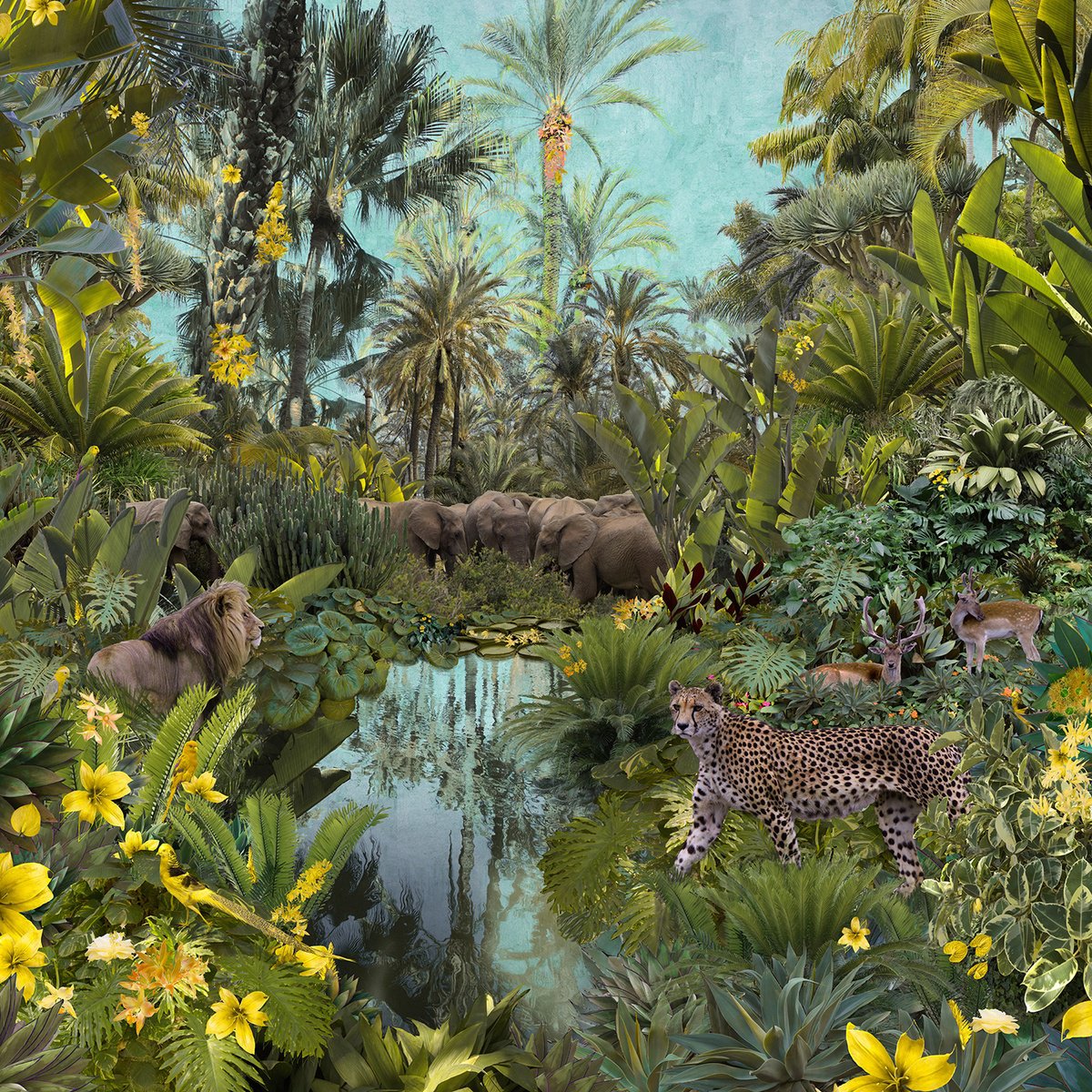 Photorealistic Animal Photograph By Nadia Attura, 28 X 28", Backwaters Lake, Original Artwork