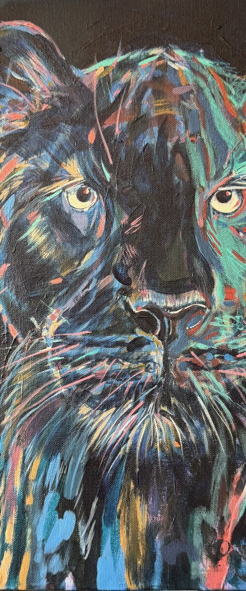 Jaguar by Hanna Bell