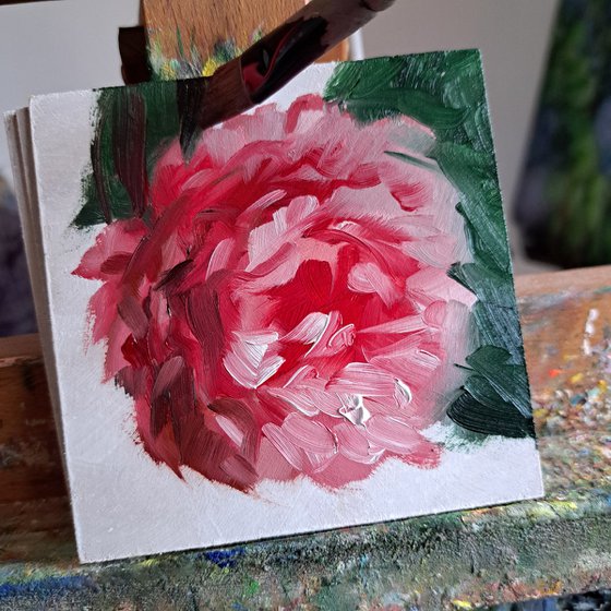 Peony flower