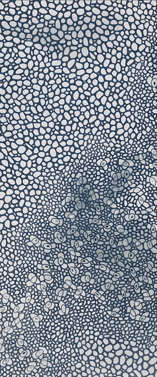 Variegated 12 by Jennifer Bell