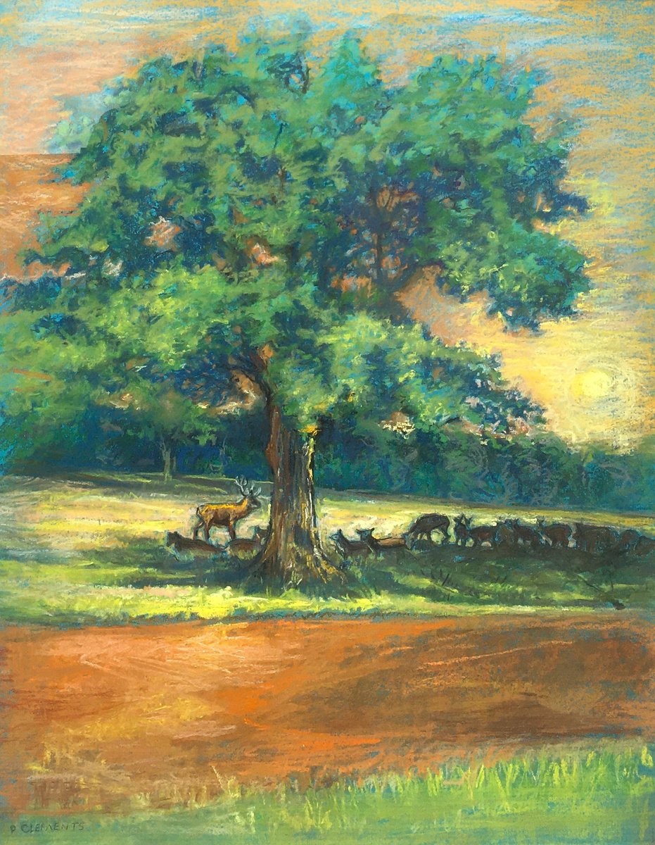 Deer herd shading in Richmond Park by Patricia Clements