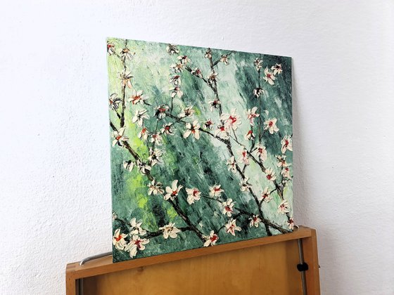 Cherries in bloom 1