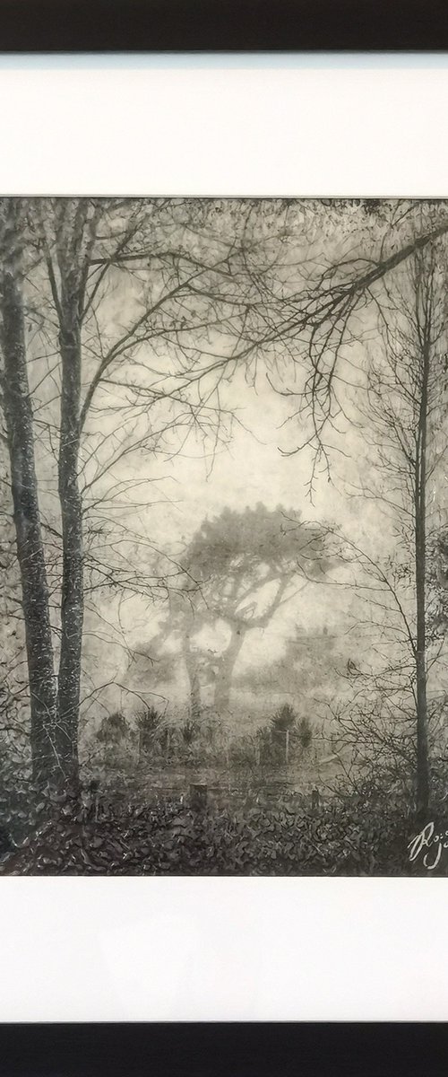 Looking Through by Roseanne Jones