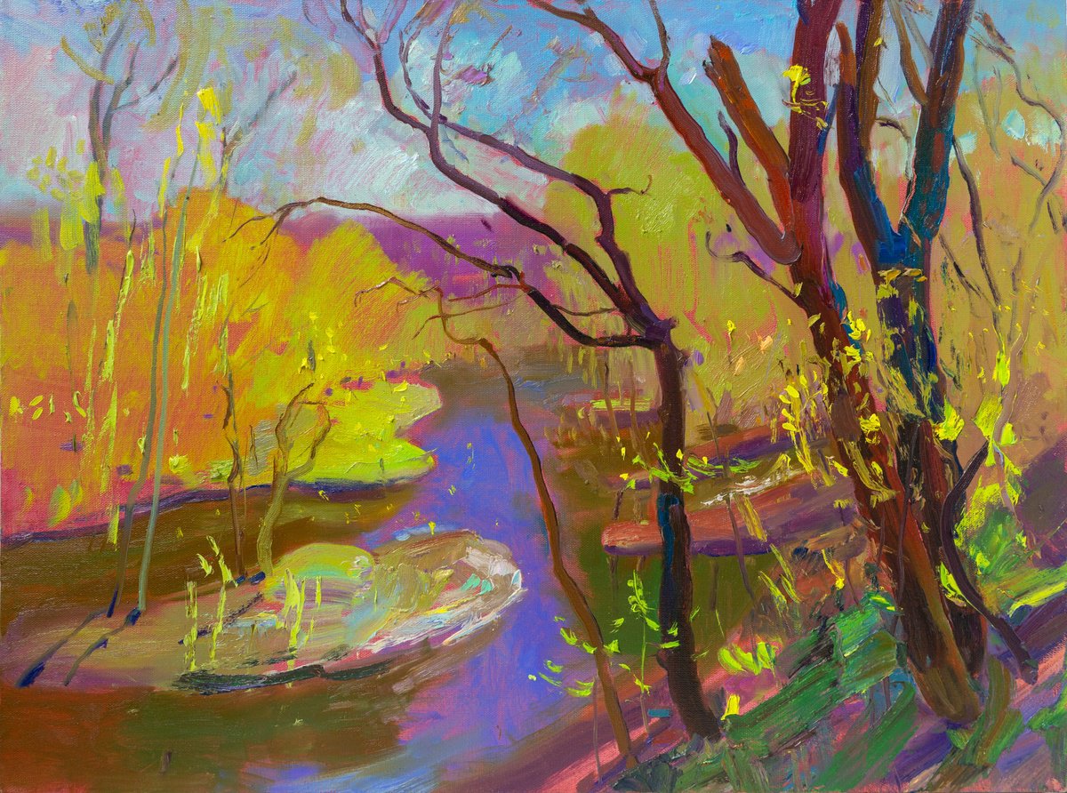 Impressionistic Landscape Oil Painting By Victor Onyshchenko, 31 X 24", Unusual Day, Original Artwork