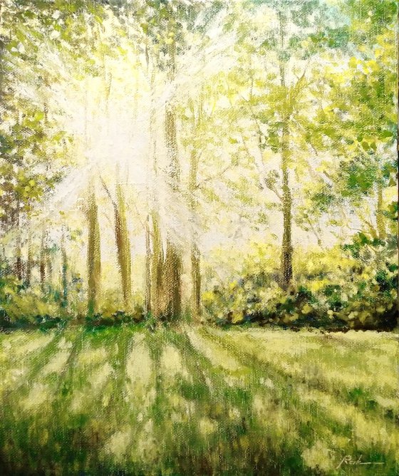 Spring morning 50 x 60 cm