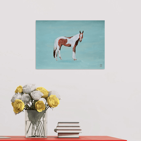 Pinto horse on aqua blue