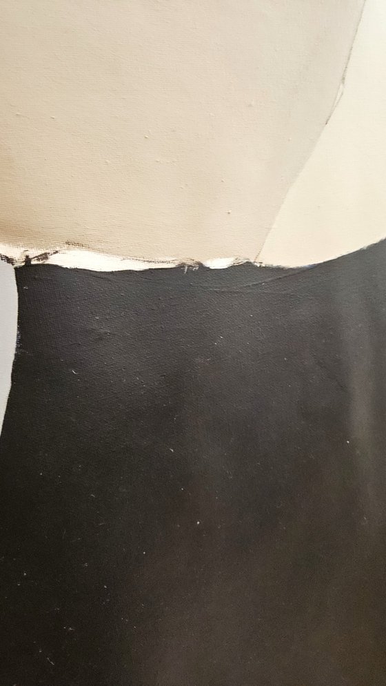 Nature’s Geometry #6