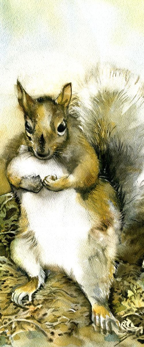 Squirrel in our garden by Alfred  Ng