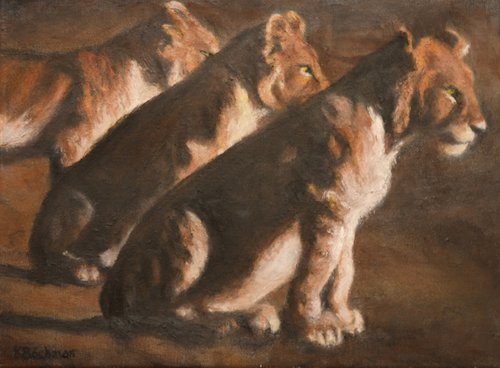 Lion Cubs by Ken Bachman