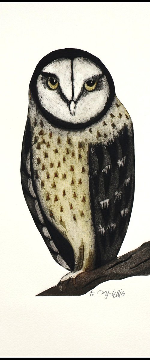 a Watchful Eye by Mariann Johansen-Ellis