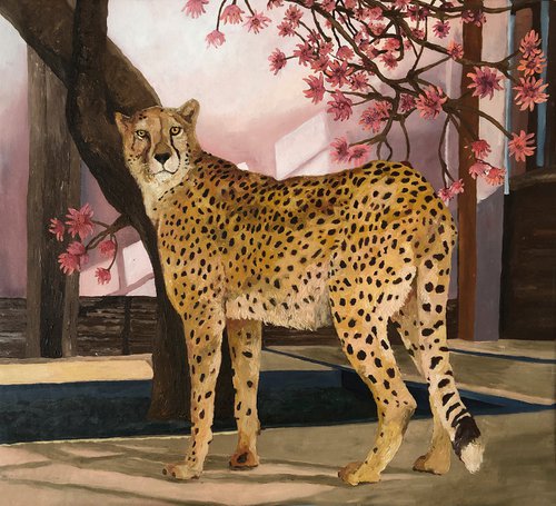 Resting guepard by Artur Rios