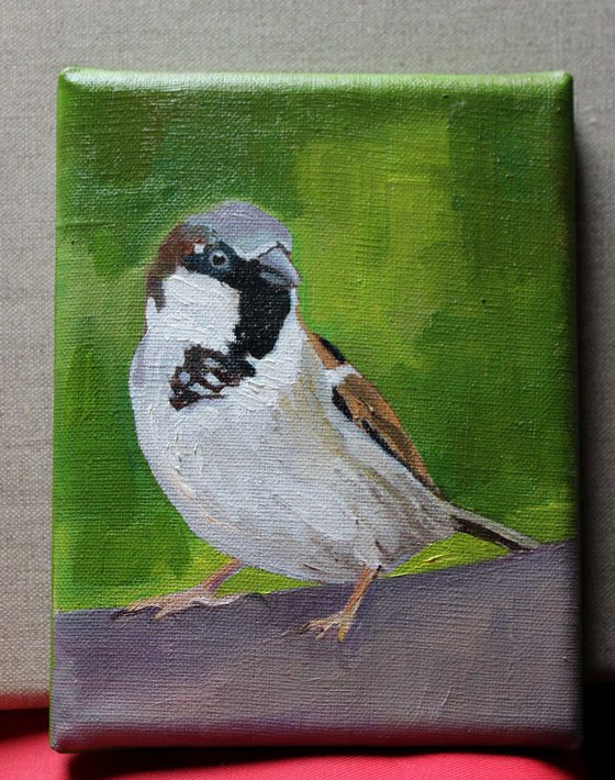 Spring Sparrows  #1