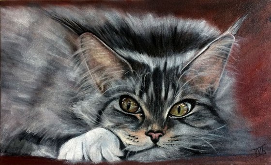 Who are you? Realistic painting  lovely Cat