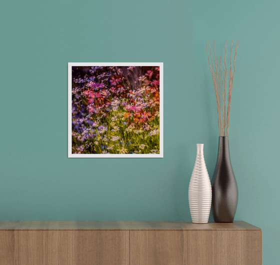 Summer Meadows #8. Limited Edition 1/25 12x12 inch Abstract Photographic Print.