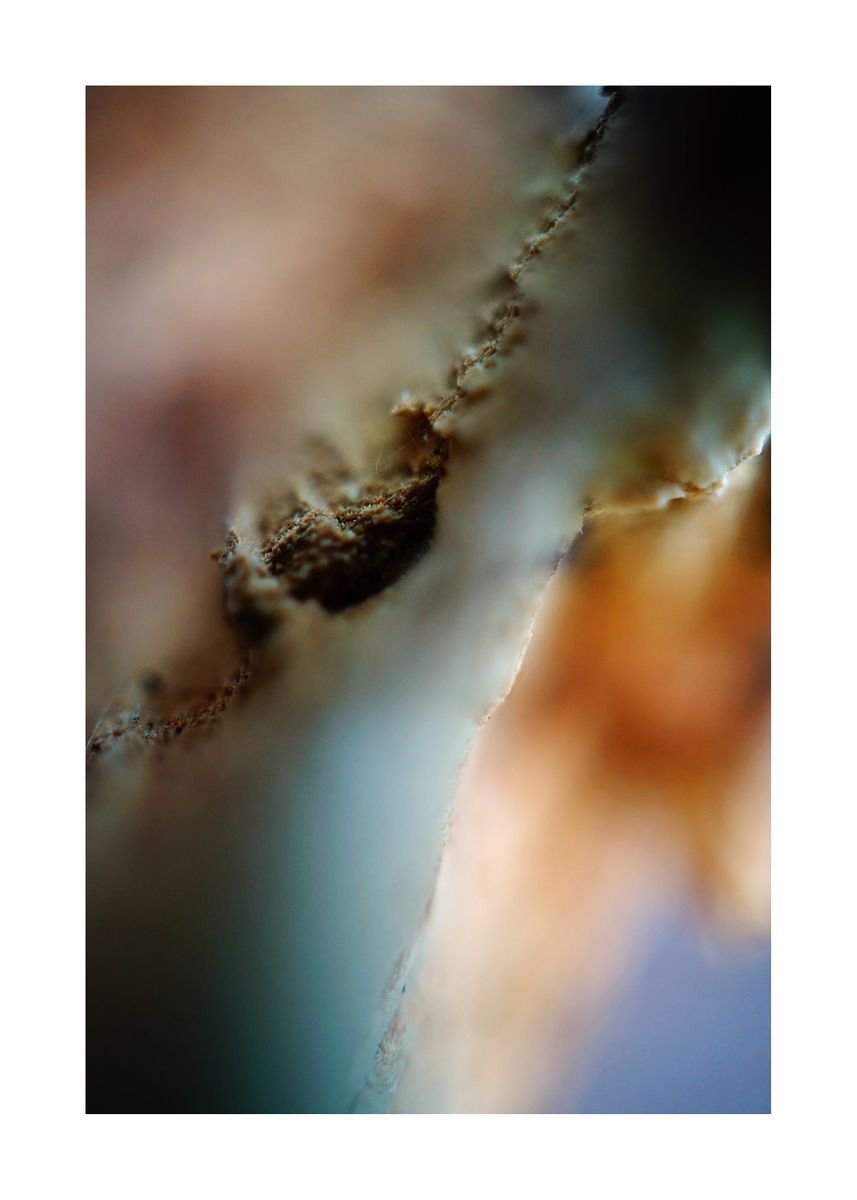 Abstract Nature Photography 63 (LIMITED EDITION OF 15) by Richard Vloemans
