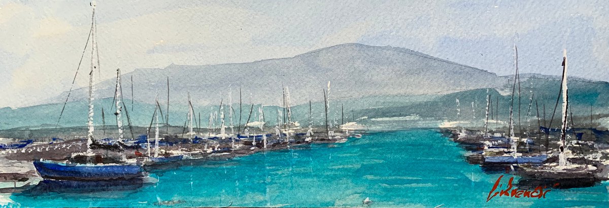 Marina view by Tihomir Cirkvencic