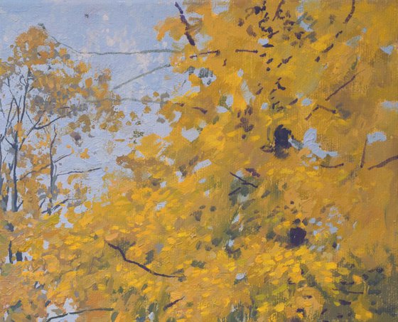 Autumn in Tsaritsyno Park