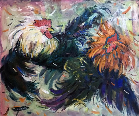aggressive roosters