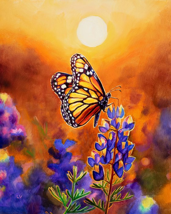 Monarch butterfly & bluebonnet