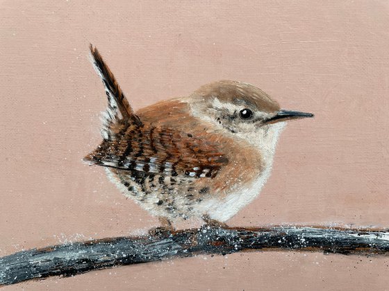 Jenny Wren II