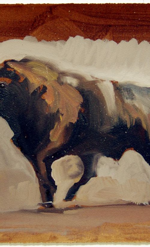 Toro XV (study) by Zil Hoque