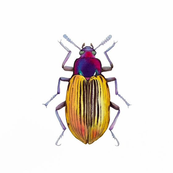 Golden beetle. Original watercolour artwork.