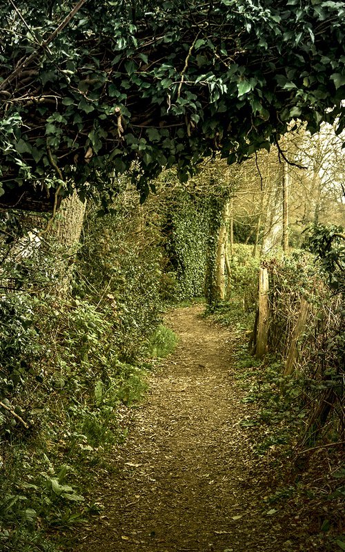 The Path to Hawkhurst by Adam Regan