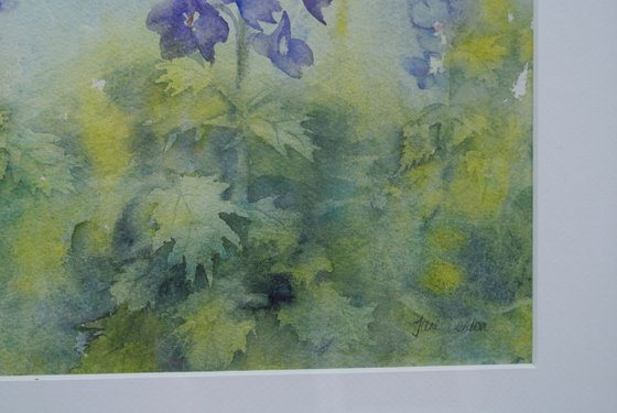 Blue Delphiniums - Original Watercolour