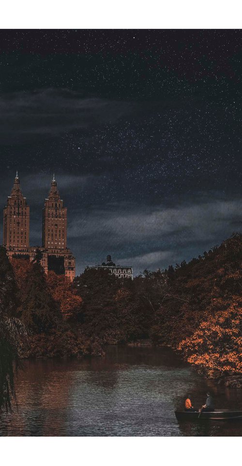 Central Park - 20 x 16"-  Dusk Series by Brooke T Ryan